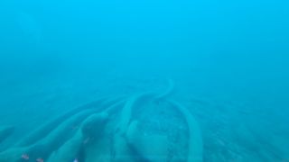 2025-10-GC-Submariane Adventure-25.jpg